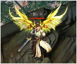 羽翼系统